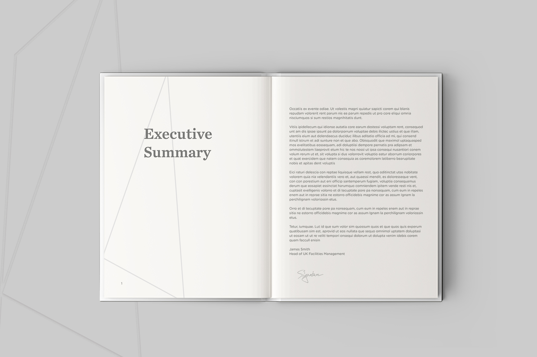 YUTIAN LI Pitch-Proposal, Brochure Design